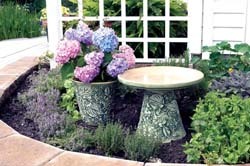 Burley Clay Birdbath aged moss