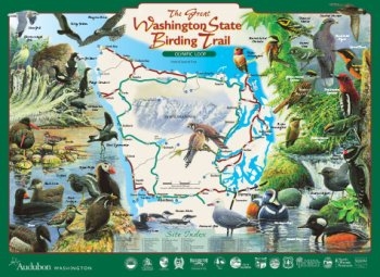 The Great Washington State Birding Trail - Olympic Loop