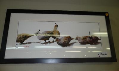 George Zine's Watercolor Quail