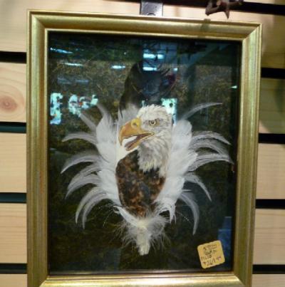 Monika Livingston Feather Art