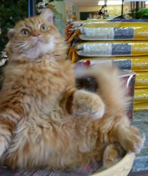 Luter is Ready for Seed Sale, Are You?? Luter is Ready for Seed Sale, Are You??