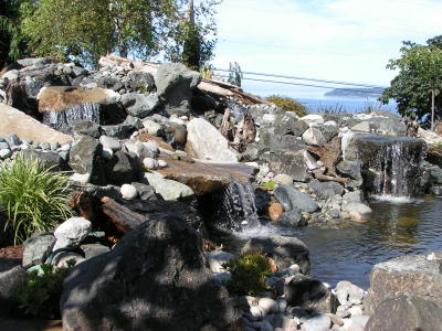 Garden pond w/ view of Discovery Bay