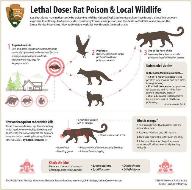 Secondary Poisoning