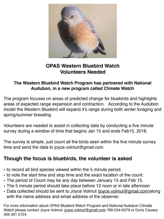 Western Bluebird Watch Info