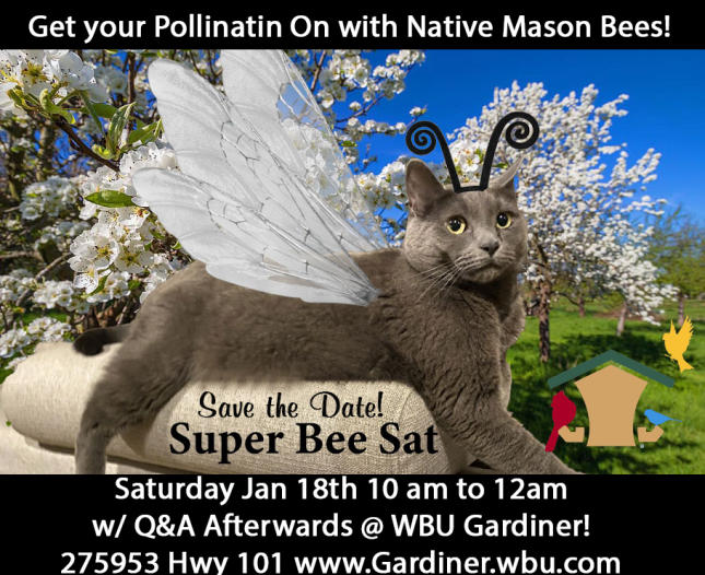 Mason Bee Class Jan 2025