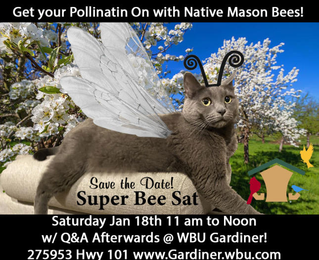 Mason Bees 2025 jan class