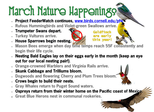 March Nature Happenings PNW