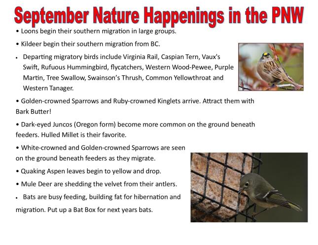 Sept Nature Happenings in the PNW