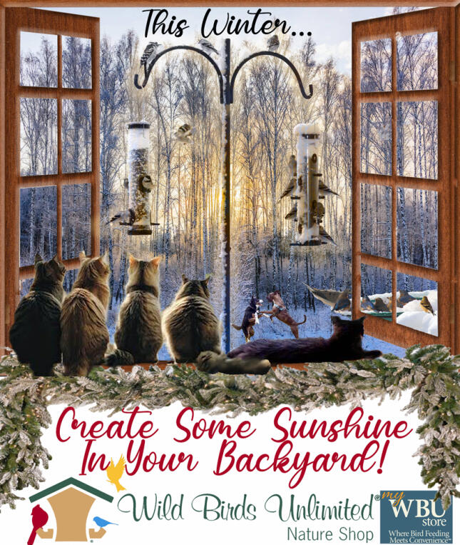 This Winter create some sunshine