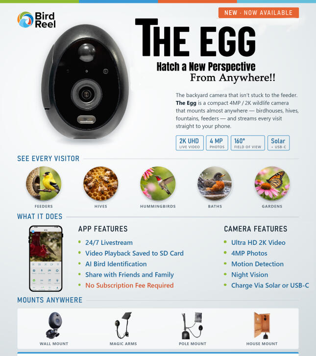 the egg