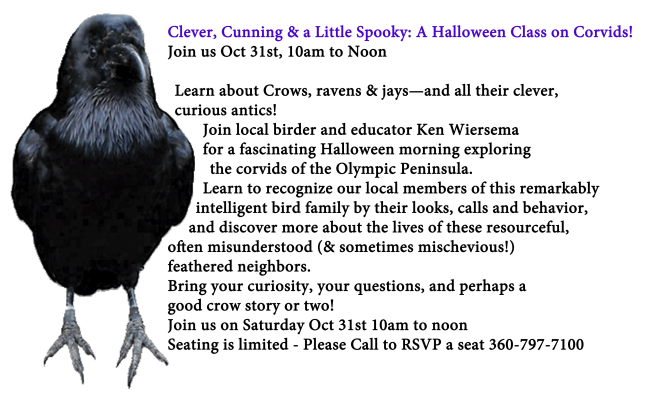corvid class 2026