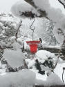 Hummer hearth in the snow